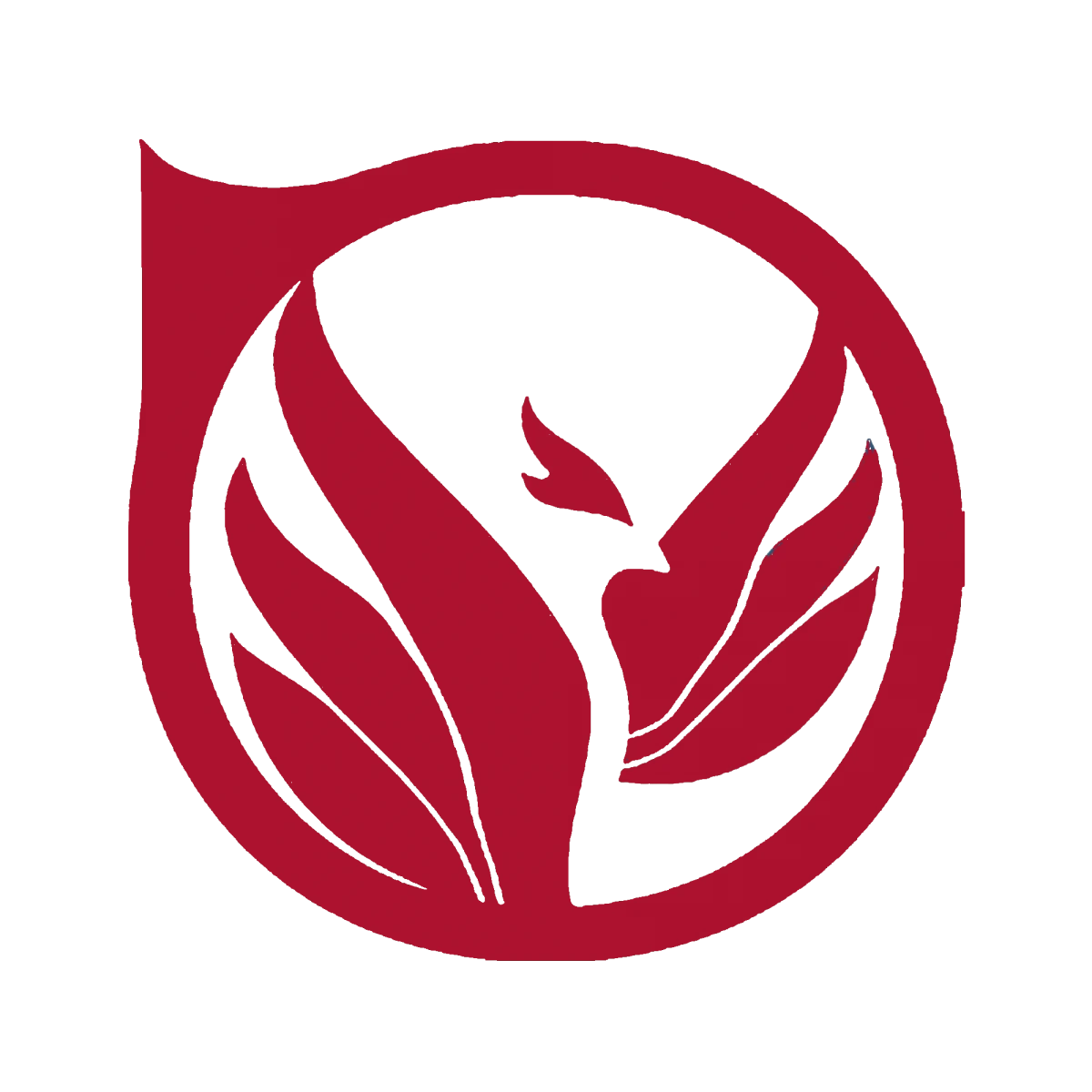 Imppulsa