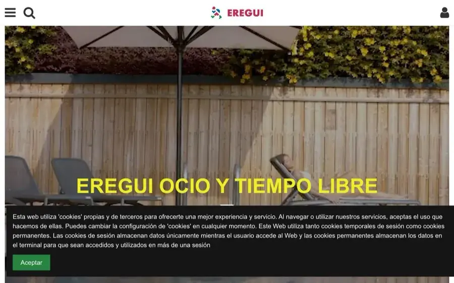 Captura de la tienda online de Eregui (Villava, Navarra) diseñada por Imppulsa